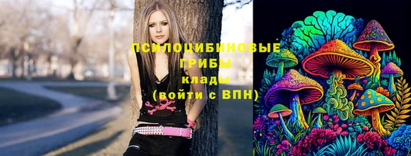 ПСИЛОЦИБИНОВЫЕ ГРИБЫ Абинск