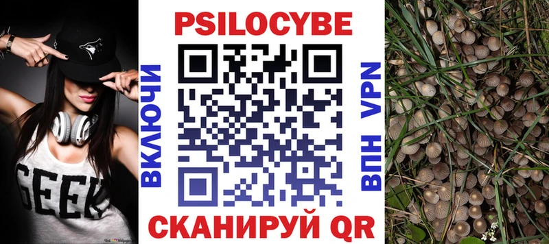 наркошоп  Мамадыш  Галлюциногенные грибы мицелий 